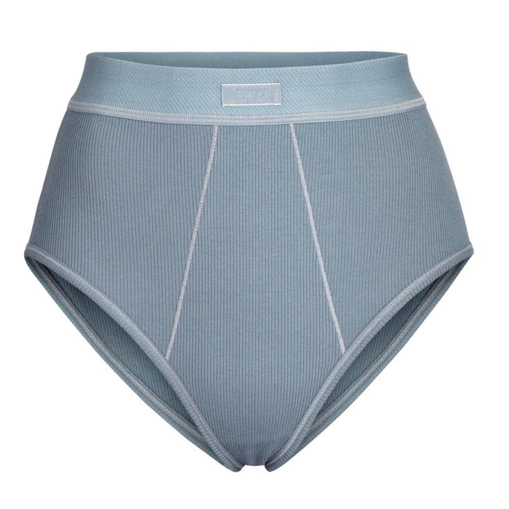 NWT Skims High Waisted Briefs